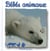 Bebes animaux
