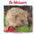 Herisson (le)