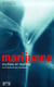 Marijuana, mythes et réalités - une revue des données scientifiques