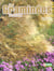 Graminees du jardin (les)