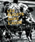 Les rugbys dans l'Aude