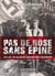 Pas de rose sans épine - 1940-1945 - un village de touraine sous l'occupation