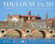 Toulouse en 3D