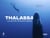 Thalassa : Aux quatre coins des océans