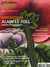 ART ET METIERS DU LIVRE n.346