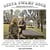 Delta Swamp Rock - Sounds From The South: At The Crossroads Of Rock, Country And Soul