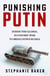 Punishing putin - Inside the global economic war to bring down russia