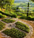 Mediterranean landscape design