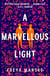 A Marvellous Light