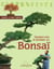 Comment creer et entretenir vos bonsai