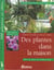 Des plantes dans la maison