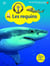 Les requins