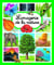 L'imagerie de la nature