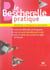 Bescherelle - pratique - maîtriser le français au quotidien (édition 2006)