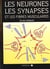 Les neurones les synapses