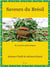Saveurs du Brésil - 80 recettes faciles et authentiques