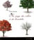 Au pays des arbres et des hirondelles