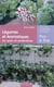 Légumes et plantes aromatiques en pots et jardinières