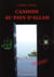 Candide au pays d'Allah