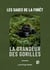 Les sages de la forêt : La grandeur des gorilles