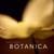 Botanica - un autre regard sur la nature