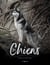 Les chiens : Fidèles et courageux