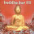 Buddha bar / vol.8