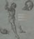 Venetian disegno : new frontiers