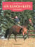 Un ranch pour Kate Tome 3 - secrets de famille