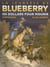 La jeunesse de Blueberry Tome 16 : 100 dollars pour mourir