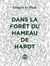 Dans la foret du hameau de hardt