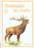 Animaux des forets