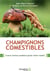 Champignons comestibles - leurs vertus cachées pour votre santé