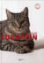 Le chat européen