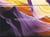 L'agenda-calendrier incroyable nature 2017
