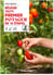 Réussir mon premier potager en 10 étapes