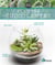 Plantes succulentes