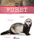 Furet