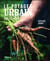 Le potager urbain - facile et naturel