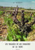 Les maladies et parasites de la vigne Tome 2