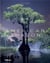 Mac Stone : American Amazon