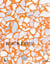 Rocked architects, designers & artists
