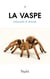 La VASPE