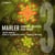 Symphonie n° 3 en ré mineur