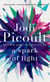 A Spark of Light : A Novel