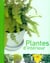 Plantes d'interieur