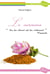 Le Curcuma
