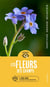 En balade : les fleurs des champs