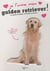 Je l'aime mon golden retriever !
