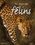 Au pays des felins